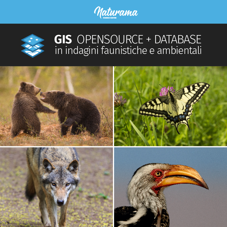 Corso GIS opensource + database in indagini faunistiche e ambientali organizzato da Naturama